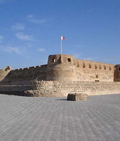 Arad Fort